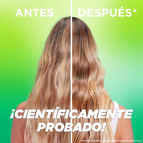 Champú Vitamin Force